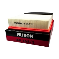 FILTRON AP 165/3 (A-Volvo 8638600, 5904608041654) AP1653